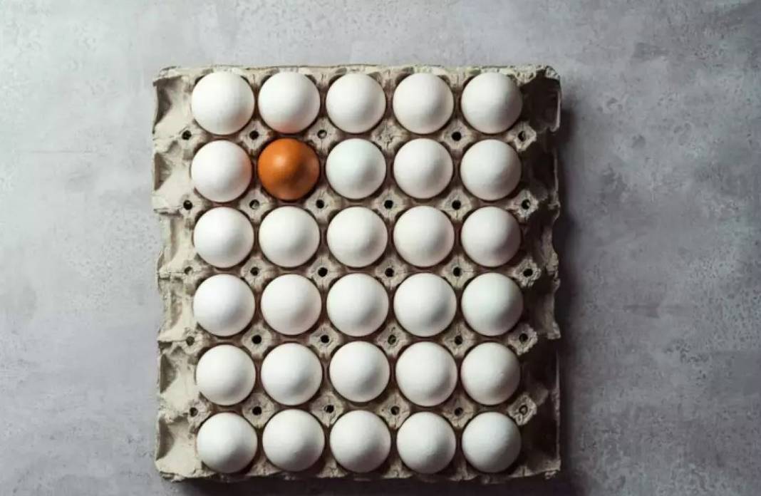 Beyaz mı kahverengi mi? Hangi yumurta daha sağlıklı? 30